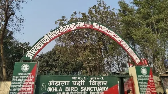 Okhla Bird Sanctuary